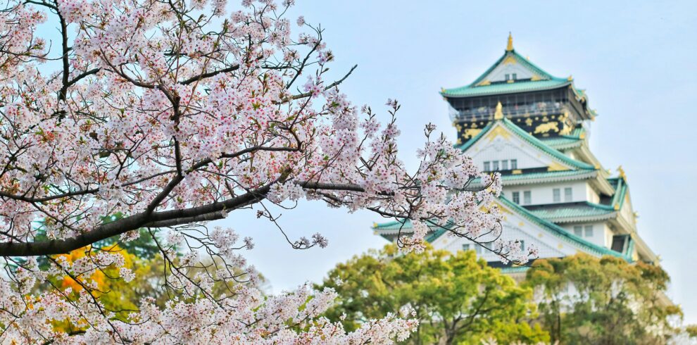 pexels bagus41 1440476